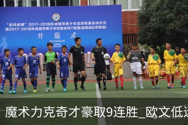 魔术力克奇才豪取9连胜 欧文低迷独行侠负灰熊